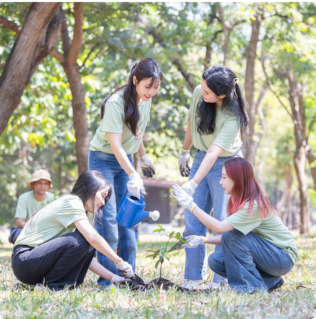 7-300x169 (1) Group planting a tree in park.